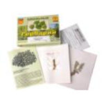 Гербарий "Водоросли. Грибы. Лишайники" (раздаточный)