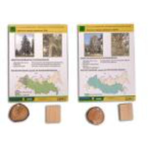 Коллекция "Древесные растения и их распространение" (демонстрационная)