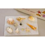 Коллекция "Морское дно"