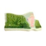 Модель строения листа