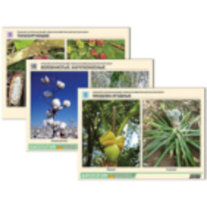 Гербарий фотографический "Сельскохозяйственные растения мира"