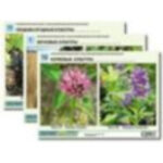 Гербарий фотографический "Сельскохозяйственные растения России"