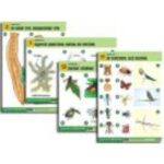 Комплект таблиц по биологии дем. "Зоология 1" (14 табл., формат А1, лам.)