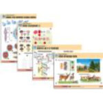 Комплект таблиц по биологии дем. "Общая биология 1" (16 табл., формат А1, лам.)