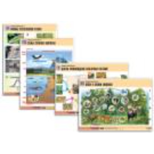 Комплект таблиц по биологии дем. "Общая биология 2" (14 табл., формат А1, лам.) Комплект таблиц по биологии дем. "Общая биология 2" (14 табл., формат А1, лам.)