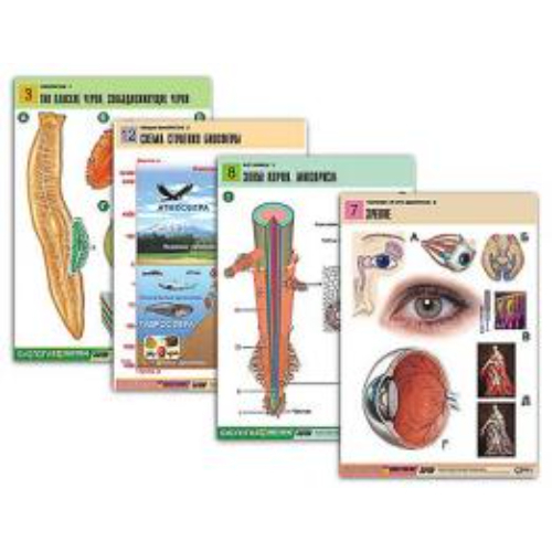 Комплект таблиц по всему курсу биологии (120 шт., А1, полноцв, лам) Комплект таблиц по всему курсу биологии (120 шт., А1, полноцв, лам)