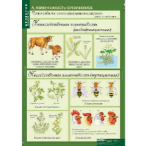 Таблицы демонстрационные "Биология 10-11 классы. Цитология. Генетика. Селекция"