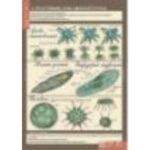 Таблицы демонстрационные "Биология 7 класс. Животные"