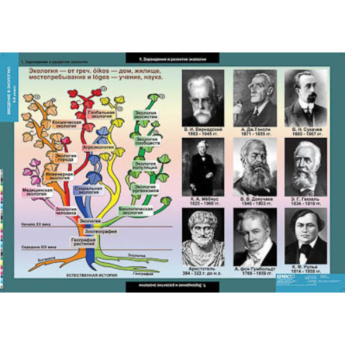 Таблицы демонстрационные "Введение в экологию" Таблицы демонстрационные "Введение в экологию"