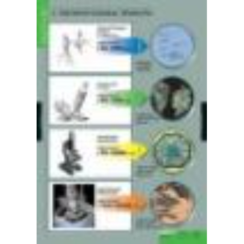 Таблицы демонстрационные "Вещества растений, Клеточное строение" Таблицы демонстрационные "Вещества растений, Клеточное строение"