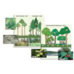 Гербарий фотографический "Растительные сообщества. Лес" (раздаточный)