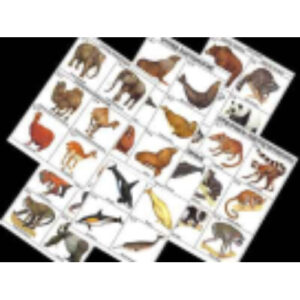Комплект таблиц по зоологии раздат. "Разнообразие животных. Млекопитающие." (цвет.,лам., А4, 16 шт.)