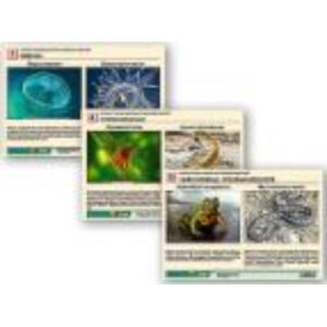 Комплект таблиц раздаточных "Ядовитые животные"