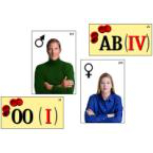 Модель-аппликация "Генетика групп крови" (ламинированная) Модель-аппликация "Генетика групп крови" (ламинированная)