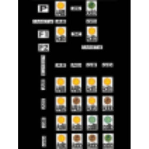 Модель-аппликация "Дигибридное скрещивание" (ламинированная)