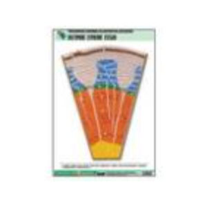 Рельефная таблица "Клеточное строение стебля" (формат А1, матовое ламинир.)