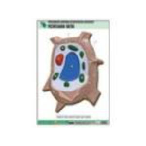 Рельефная таблица "Растительная клетка" (формат А1, матовое ламинир.)