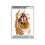 Рельефная таблица "Внутреннее строение кролика" (формат А1, матовое ламинир.)