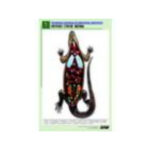 Рельефная таблица "Внутреннее строение ящерицы" (формат А1, матовое ламинир.)