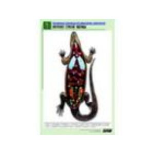 Рельефная таблица "Внутреннее строение ящерицы" (формат А1, матовое ламинир.)