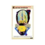 Рельефная таблица "Долька печени. Макро-микростроение" (формат А1, матовое ламинир.) Артикул: 5912