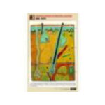 Рельефная таблица "Кожа. Разрез" (формат А1, матовое ламинир.)