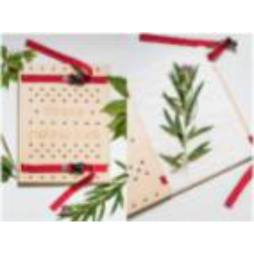 Пресс гербарный (сетка) Пресс гербарный (сетка)