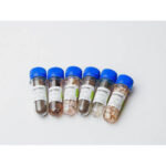 Набор № 6 ОС «Щелочные и щелочноземельные металлы»