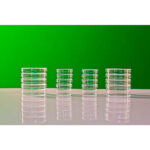 Набор чашек Петри