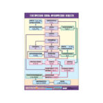 Таблица демонстрационная «Генетическая связь органических веществ»