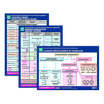 Комплект таблиц по химии раздаточных «Классиф. и номенклатура орган. Соединений» 16 шт.