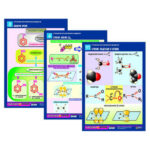 Комплект таблиц по химии раздаточных «Строение органических веществ» 16 шт.