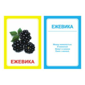 Логопедические картинки для автоматизации звука "Ж" (комплект 30 шт)