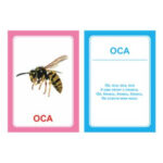 Логопедические картинки для автоматизации звука "С" (комплект 30 шт)