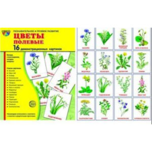 Демонстрационные карточки "Цветы полевые" (размер большой,16 штук)