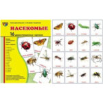 Демонстрационные карточки "Насекомые" (размер большой,16 штук)