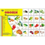 Демонстрационные карточки "Овощи" (размер большой,16 штук)