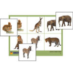 Лото "Дикие животные" (4 планшета, 24 карт., цвет., ламинир.)