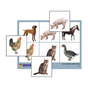 Лото "Домашние животные" (4 планшета, 24 карт., цвет., ламинир.)