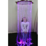 Фиброоптический душ «Солнышко» (100 волокон) с п/у