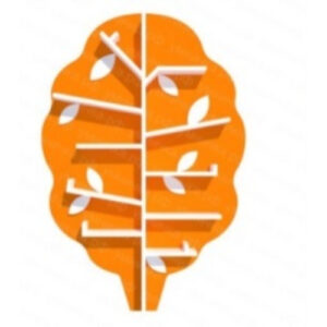 Экополка "Дуб"