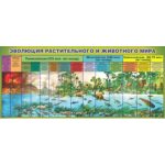 Стенд "Эволюция растительного и животного мира"